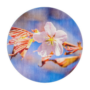 Roze Sakura Flower Blue Sky Snijplank