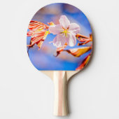 Roze Sakura Flower Blue Sky Tafeltennisbatje (Voorkant)