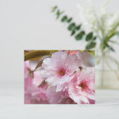 Roze Sakura Flower Briefkaart (Staand voorkant)