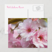 Roze Sakura Flower Briefkaart (Voorkant / Achterkant)