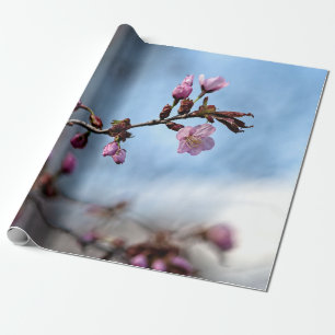 Roze Sakura Flowers, Blue Sky, White Cloud Cadeaupapier