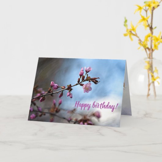 Roze Sakura Flowers, Blue Sky, White Cloud Kaart (Gele Bloem)