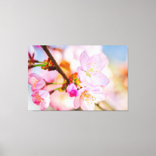 Roze Sakura Flowers. De overwinning van het leven Canvas Afdruk
