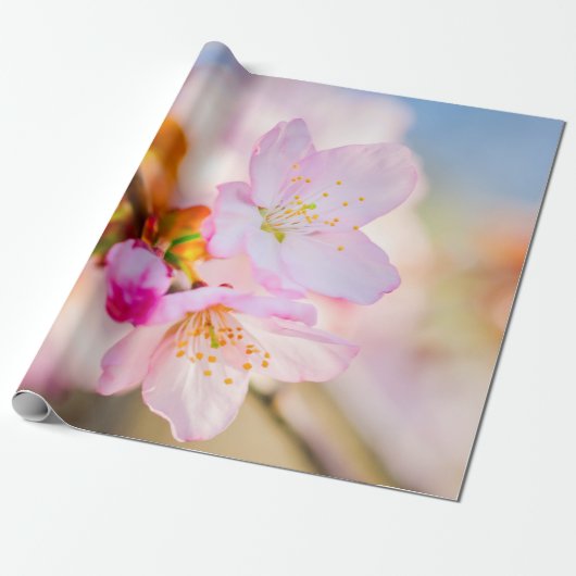 Roze Sakura Flowers. De triomf van het leven Cadeaupapier (Uitgerold)