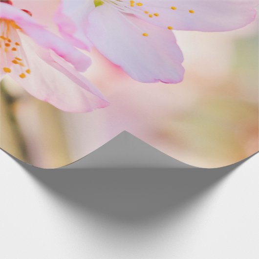 Roze Sakura Flowers. De triomf van het leven Cadeaupapier (Hoek)