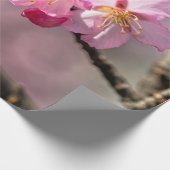 Roze Sakura Flowers op een boom Cadeaupapier (Hoek)