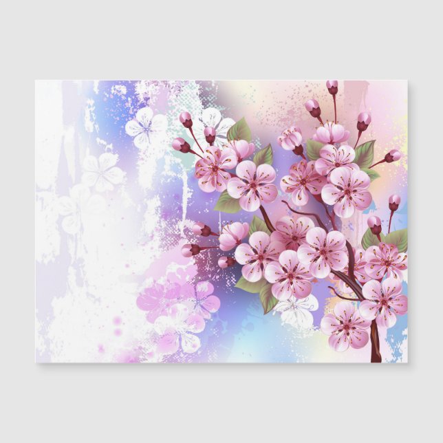 Roze Sakura op geschilderde achtergrond (Voorkant)