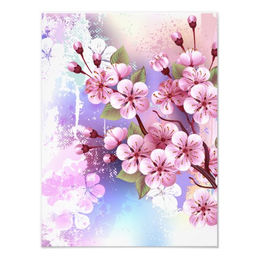 Roze Sakura op geschilderde achtergrond Foto Afdruk (Voorkant)