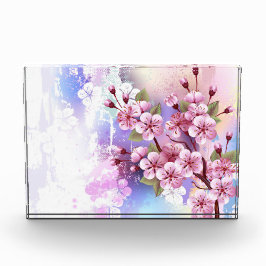 Roze Sakura op geschilderde achtergrond Fotoblokken