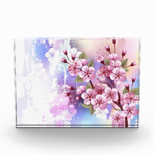 Roze Sakura op geschilderde achtergrond Fotoblokken (Voorkant)