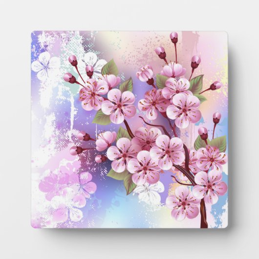 Roze Sakura op geschilderde achtergrond Fotoplaat (Voorkant)
