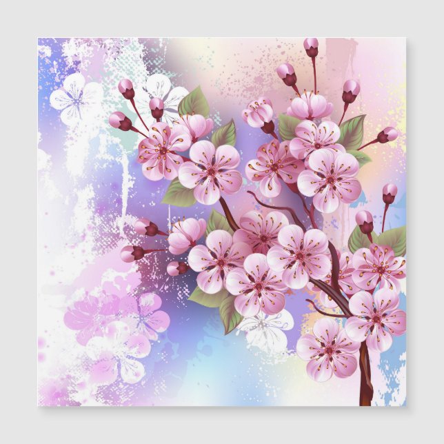 Roze Sakura op het schilderen Achtergrond (Voorkant)