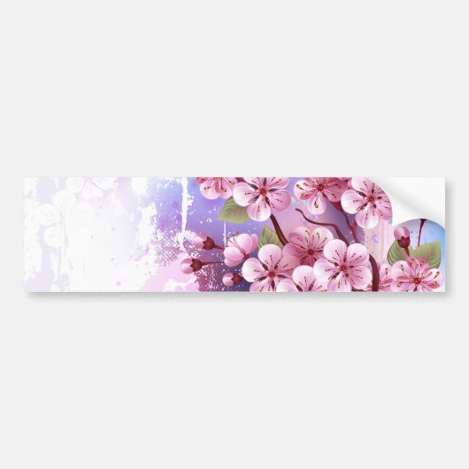 Roze Sakura op het schilderen Achtergrond Bumpersticker (Voorkant)