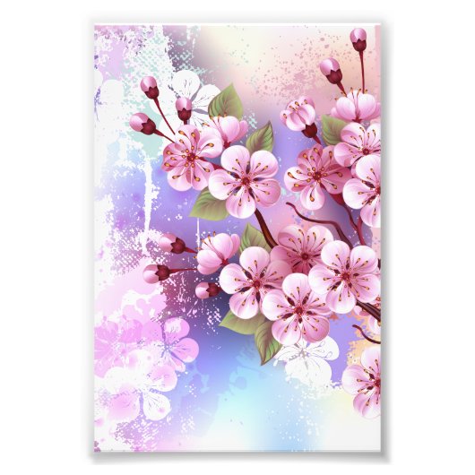 Roze Sakura op het schilderen Achtergrond Foto Afdruk (Voorkant)