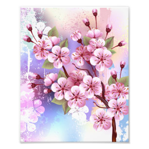 Roze Sakura op het schilderen Achtergrond Foto Afdruk