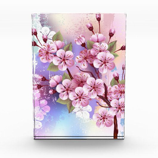 Roze Sakura op het schilderen Achtergrond Fotoblokken (Voorkant)