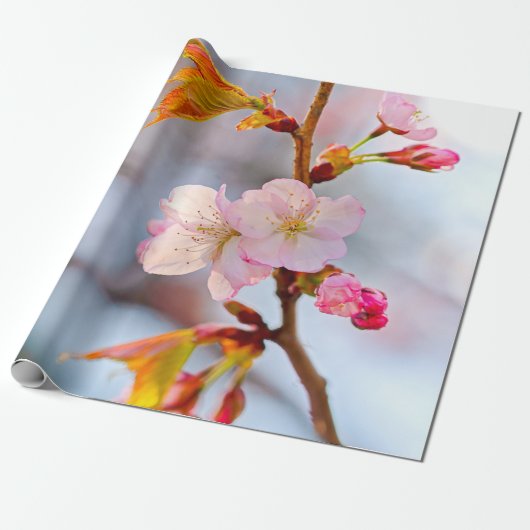 Roze Sakura tegen de grijze achtergrond Cadeaupapier (Uitgerold)