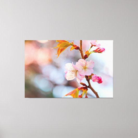 Roze Sakura tegen de grijze achtergrond Canvas Afdruk (Voorkant)
