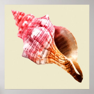 Roze Sandy Conch Shell Poster