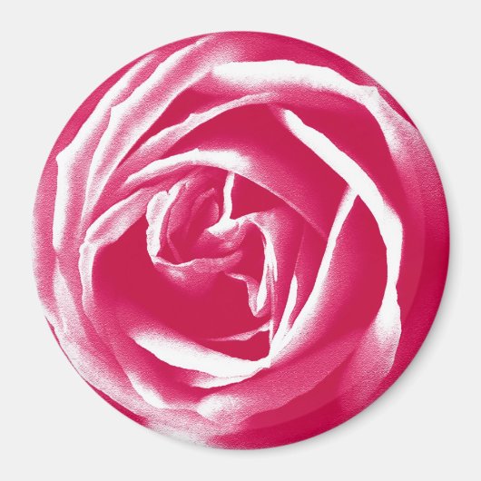 Roze satijn roos afdrukken magneet (Voorkant)