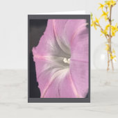 Roze-Satijnen Dagbloem Blank Kaart (Gele Bloem)