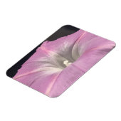 Roze Satijnen Dagwinde Magneet (Linkerzijde)