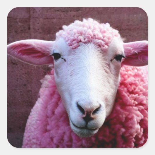 Roze schaap vierkante sticker (Voorkant)