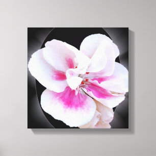Roze schaduwen canvas afdruk
