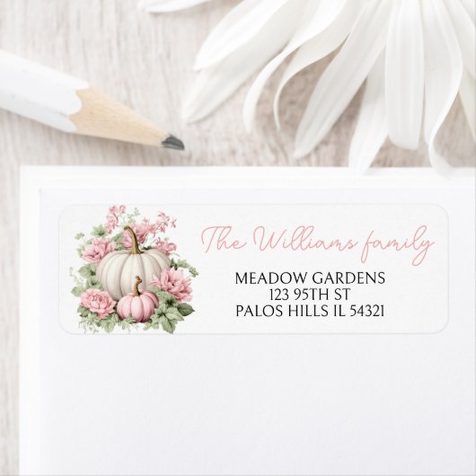 Roze schattige pompoen baby meisje douche retour a etiket (Insitu)