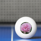 Roze schoonheid Drie sterren Ping Ball Ball (Net)