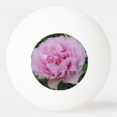 Roze schoonheid Drie sterren Ping Ball Ball (Achterkant)