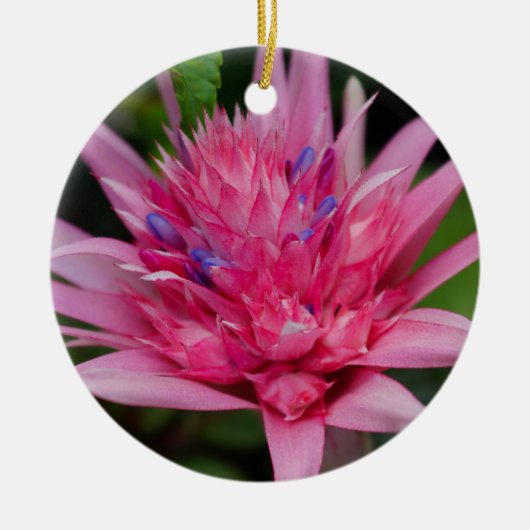 Roze schoonheid keramisch ornament (Voorkant)