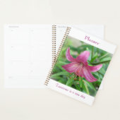 Roze Schoonheidsplanner Planner (Display)