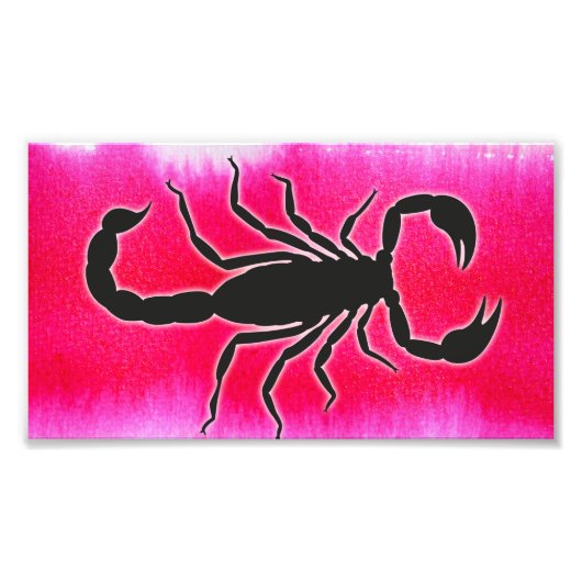 roze schorpioen foto afdruk (Voorkant)