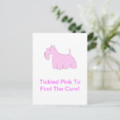 Roze Schotse Terrier Briefkaart (Staand voorkant)