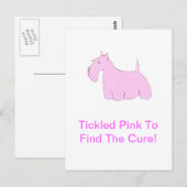 Roze Schotse Terrier Briefkaart (Voorkant / Achterkant)
