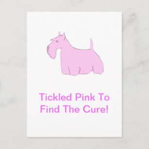 Roze Schotse Terrier Briefkaart
