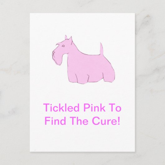 Roze Schotse Terrier Briefkaart (Voorkant)