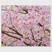 Roze schuim van Cherry Blossom over de Sakura-bome Cadeaupapier (Vlak)