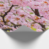 Roze schuim van Cherry Blossom over de Sakura-bome Cadeaupapier (Hoek)