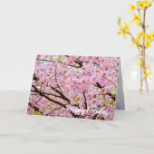 Roze schuim van Cherry Blossom over de Sakura-bome Kaart (Gele Bloem)