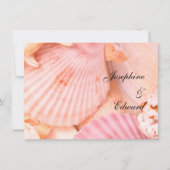 Roze Seashells (Voorkant)