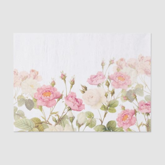 Roze Sepia Rozen Illustratie van beemdje Tissuepapier (Voorkant)