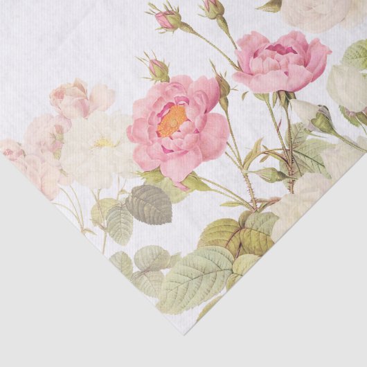 Roze Sepia Rozen Illustratie van beemdje Tissuepapier (Detail)