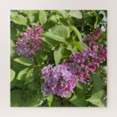 Roze Sering Bloesem Legpuzzel (Horizontaal)