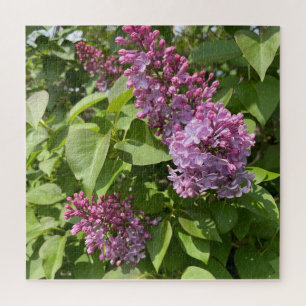 Roze Sering Bloesem Legpuzzel