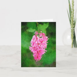 Roze Sering Waterkleur Kaart