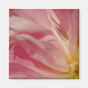 Roze Shade Magnet