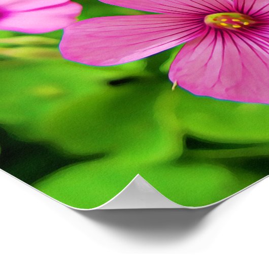 Roze Shamrock Flowers Bijbel Poster voor scripts (Hoek)