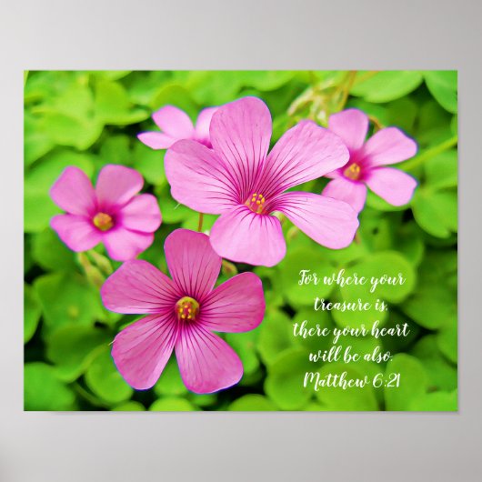 Roze Shamrock Flowers Bijbel Poster voor scripts (Voorkant)